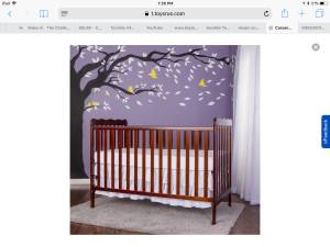 Beautiful Crib to Toddler Bed and Mattress - Excellent Condition!