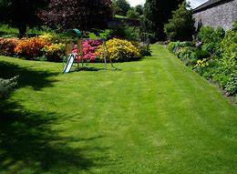 lawn &landscape business for sale (SE plano/murphy)