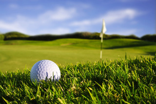 Business For Sale: Golf Course