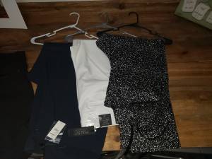 Huge Lot of Plus Size Clothing (Lots Still with Tags)