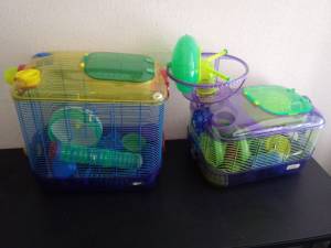 Two Hamster Cages with Accessories