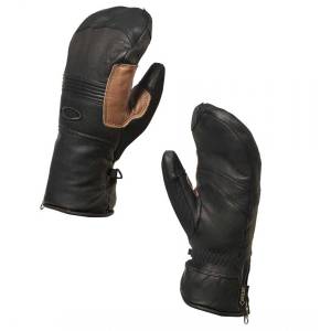 Oakley Lone Tree Gore-Tex Mittens (Vail, CO)