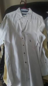 Mens Polo dress shirts (Westfield)