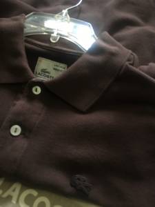 Lacoste Men Dress Cargo Shorts ( W 34 ) & Lacoste Med Polo Shirt (Chamblee