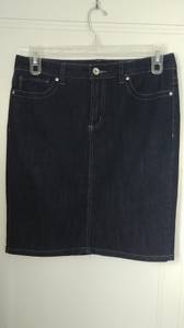 Jean Mini Skirt (Waterford, MI Area)