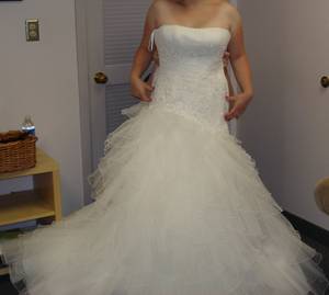 NEW - NOT WORN OR ALTERED Pronovias Deusto Couture Wedding Gown (Rochester)