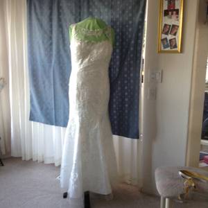 Wedding Dress (Yuma Arizona)