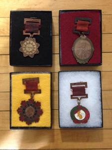Vintage Chinese Military Medals (Gouverneur)