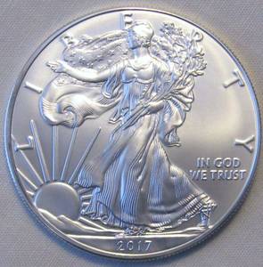 2017 Silver Eagle Coins (Rocky Mount)