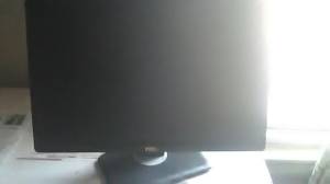22 Professional Inch Monitor By Dell (Lew)