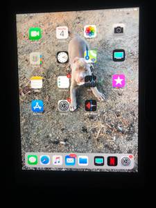 Apple iPad Air 32 gb (Valdosta ga)