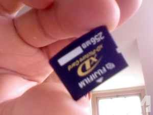 Camera Memory Card - $5 (Corvallis)