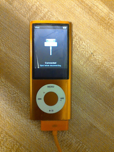 Apple 8GB iPod Nano 5th Generation Camera Model A1320