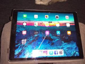 12.9 inch 128 gig iPad pro/cellular (Louisville)