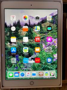 iPad Air 2, Retina, A8, 64GB, WiFi, Unlocked Cellular (Phoenix)
