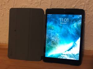 iPad 2 Mini 32GB WiFi & Cellular (Jax Beach)