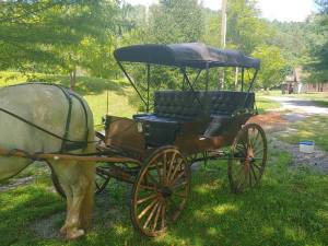 Beautiful horse drawn oak carriage (Stanardsville, VA)