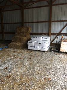 Straw and bedding (Chesapeake, ohio)
