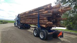 Firewood log truck loads (Elko-Spring Creek)