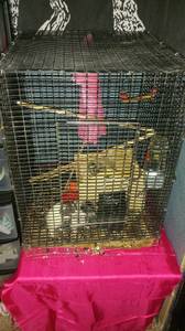 Tall animal cage (Terre haute)