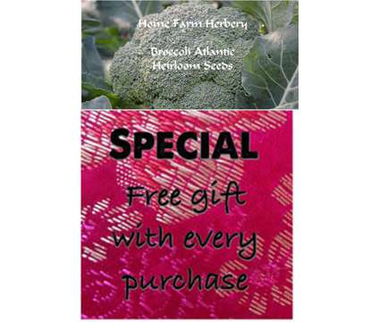 Broccoli, Atlantic Seeds, Order now & get a FREE Gift