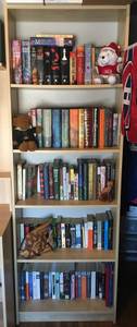 Ikea Book Shelf (Elko, Nevada)