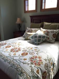 Like New Queen Size Comforter Set (HamLake)