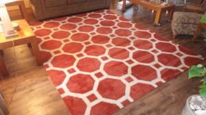 Large rust/cream giraffe area rug (Greenfield, WI)