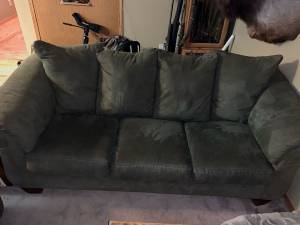 Couches for sale
