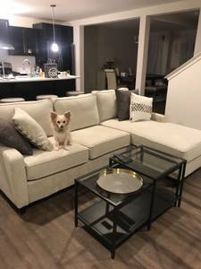 Stylish & Homey sectional sofa / couch (New) (Chicago)