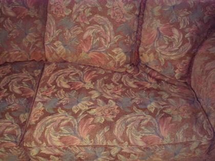 Couch and 7 Pillows 150