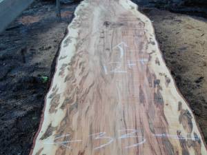 100 live edge table and bar slabs large slabs (east flat rock)