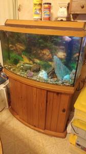 50 Gallon Complete Aquarium with stand (Macon)
