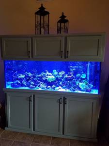 245 gallon aquarium with stand and canopy (liberty hill)