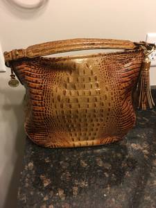Beautiful Brahmin Purse