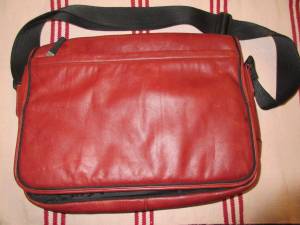Wilson's Leather Satchel and Timbuk2 Messenger Bags