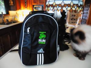 Backpack/Shamrock Run (vancouver)