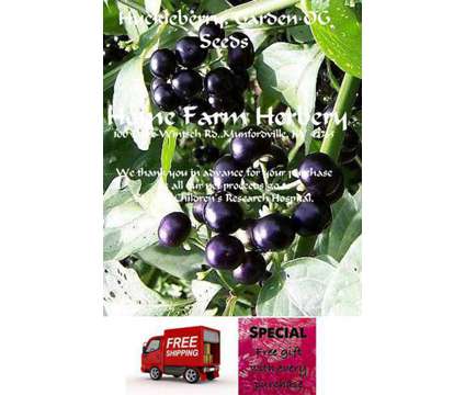 Huckleberry, Garden Heirloom Seeds, Order now, FREE shipping & a free gift