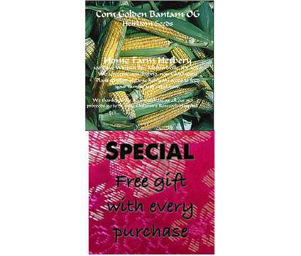 Corn, Golden Bantam Heirloom Seeds, Order now