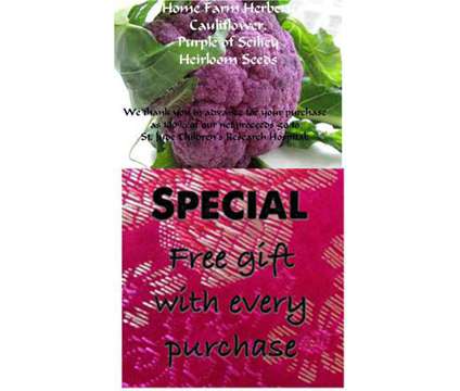 Cauliflower Purple Heirloom Seeds, Order now