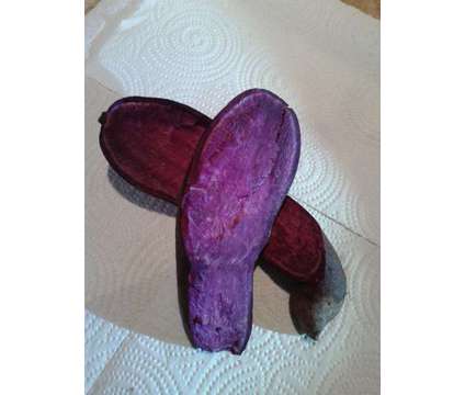 Molokai Purple Potatoes