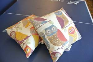 Owl Decorative Throw Accent Pillow 16 x 16 (Country Club & University)