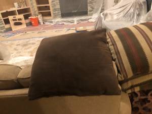 Sofa pillows (Englewood)