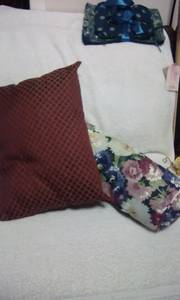 Two pillows (North raleigh)