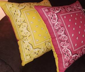 Check This Out..Bandana Pillows.. (Aurora)