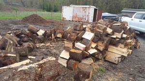 Maple firewood cut& split (Auburn)