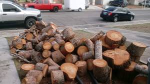 Firewood...pine logs (Henderson)