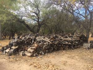 Firewood Cut and Stacked for Sale (sabino canyon)