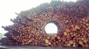 Bulk Firewood Seasoned Oak & Hickory Free Delivery Pick-Up OK 2