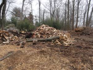 FIREWOOD - CORD - UNSEASONED - DELIVERED - DELAWARE COUNTY (Delaware County)